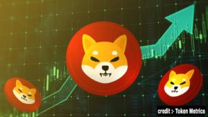 shiba inu
