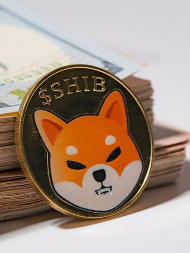 WhatsApp Image 2024-05-13 at 10.14.48_69b1e1f4