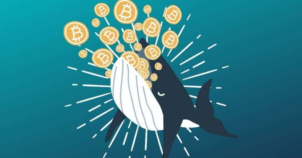 Is That You, Satoshi? A Bitcoin Wallet That Has Been Dormant for 14 Years Cashes Out Hugely