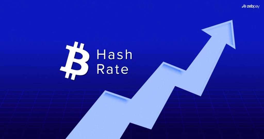 When miners cut back on their investment, the hash price of bitcoin hits a record low.