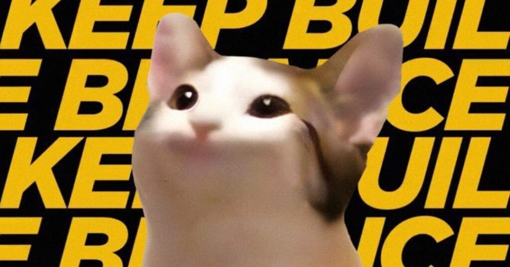 POPCAT Listed on Binance, Whale Purchases 10 Million Tokens.